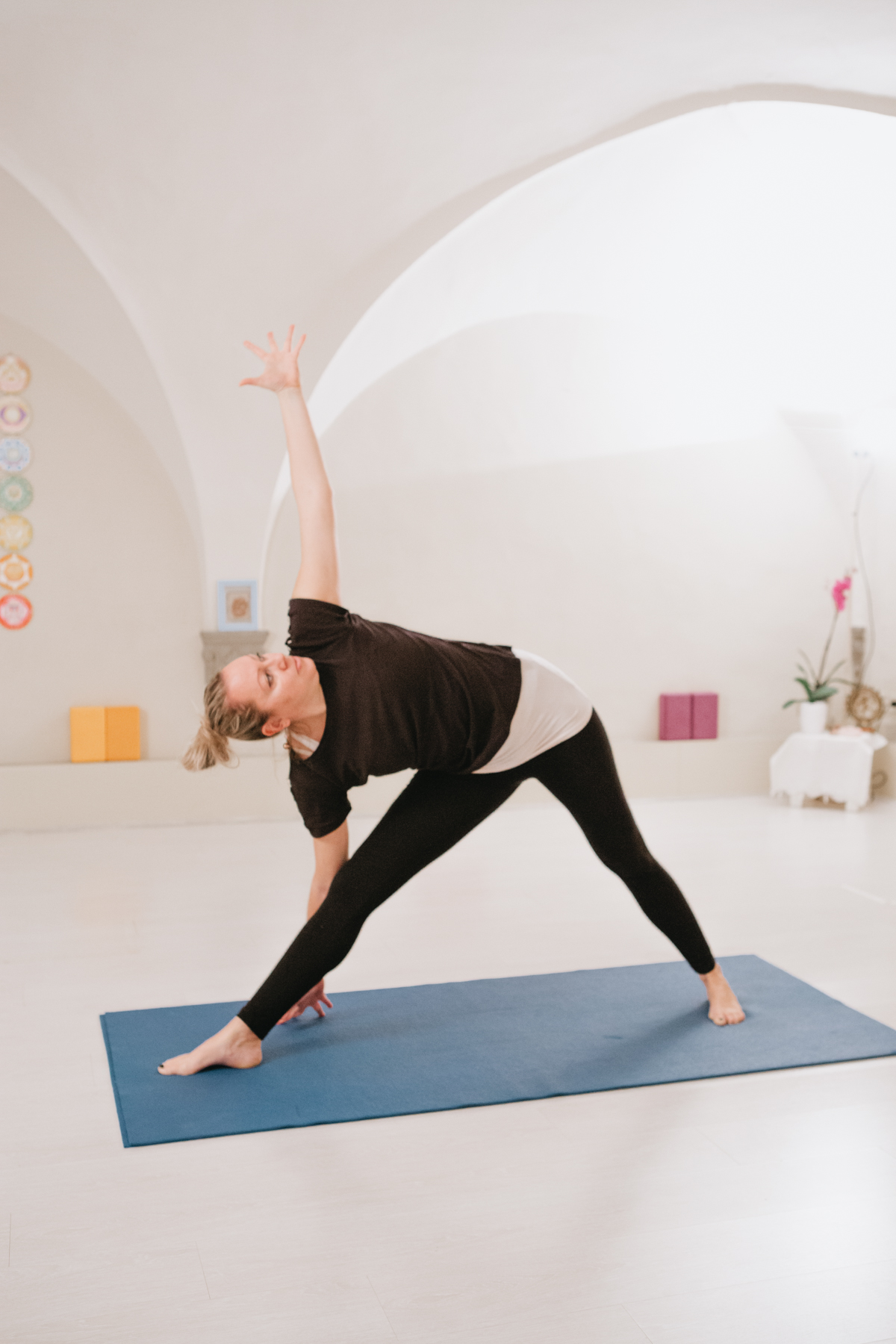 Hatha Yoga Anusara Elements